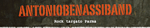 Logo Antonio Benassi Band