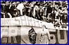 PARMA-Reggiana 04-05-1986. BOYS in primo piano pronti ad entrare in campo